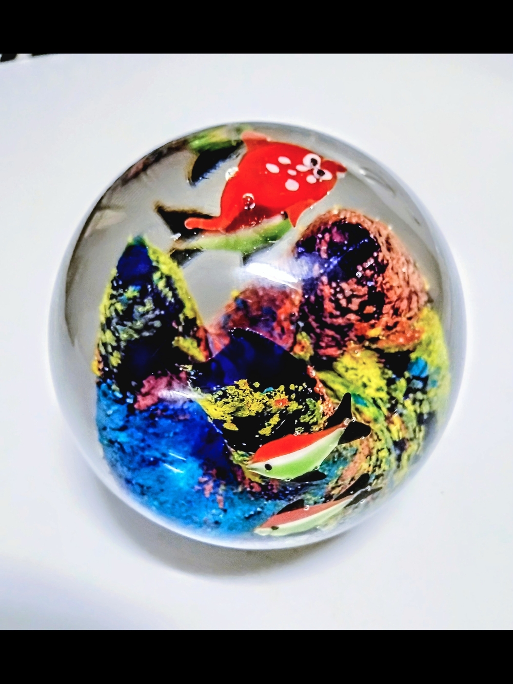 Handblown Vintage Colorful Murano Glass Coral Reef & Fish Aquarium Paperweight